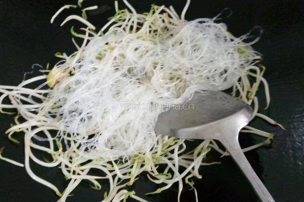 豆芽炒粉丝的做法图解6
