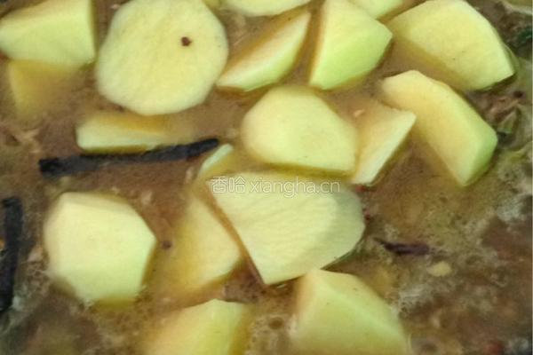 土豆烧牛腩的做法图解10