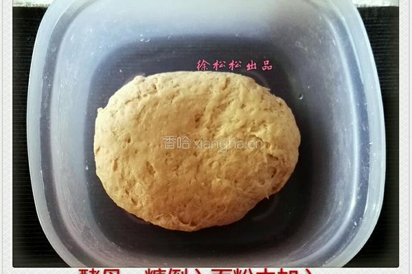 奶香全麦馒头的做法图解3