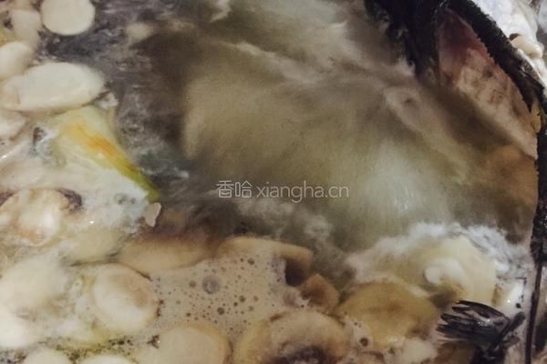 鱼丸素菇汤的做法图解13