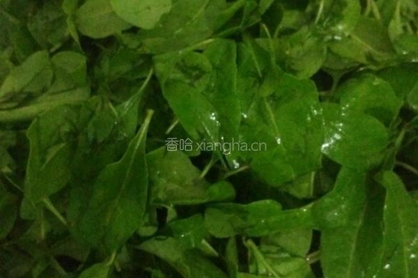 牛肉丸枸杞菜鸡蛋汤的做法图解3