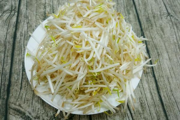 凉拌绿豆芽的做法图解1