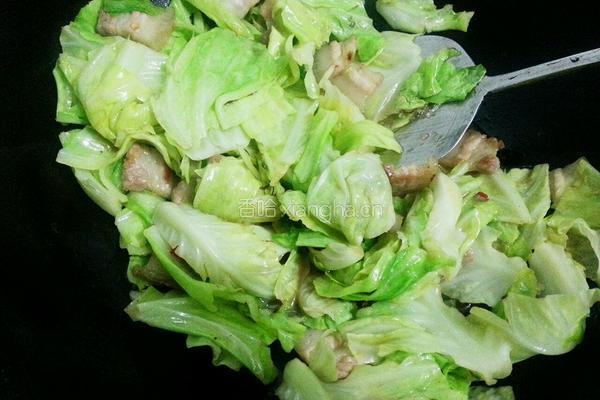 手撕卷心菜炒五花肉的做法图解7