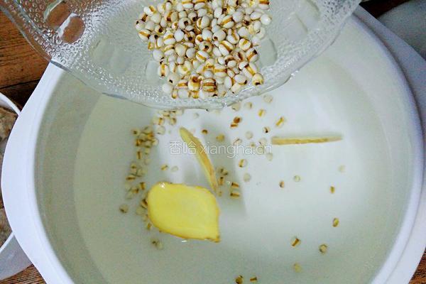 白萝卜薏仁排骨汤的做法图解6