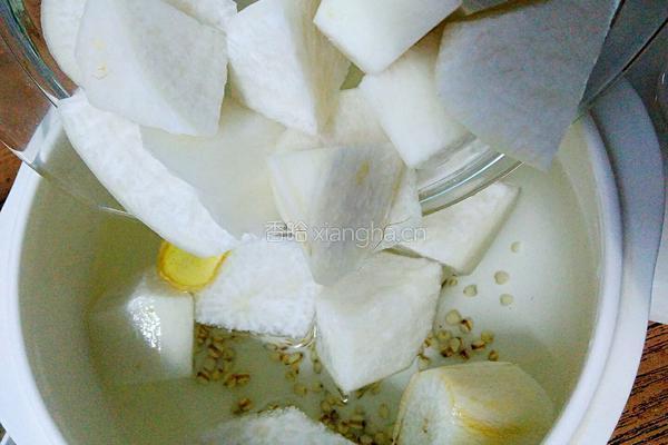 白萝卜薏仁排骨汤的做法图解7
