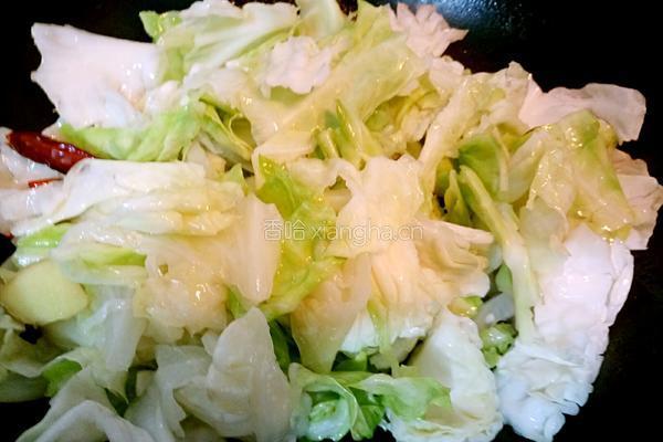 卷心菜炒肉的做法图解7
