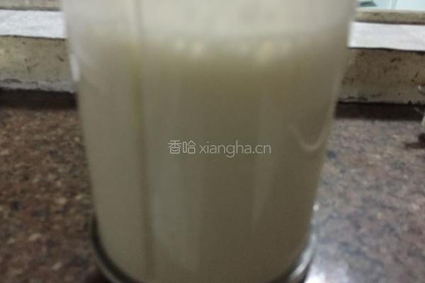 哈密瓜奶昔的做法图解5
