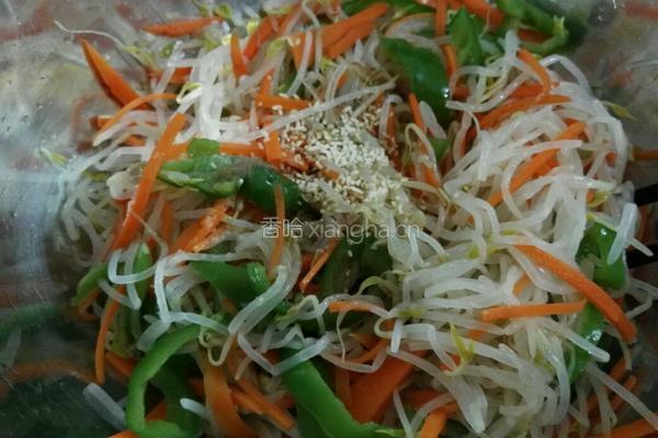 素拌绿豆芽的做法图解8