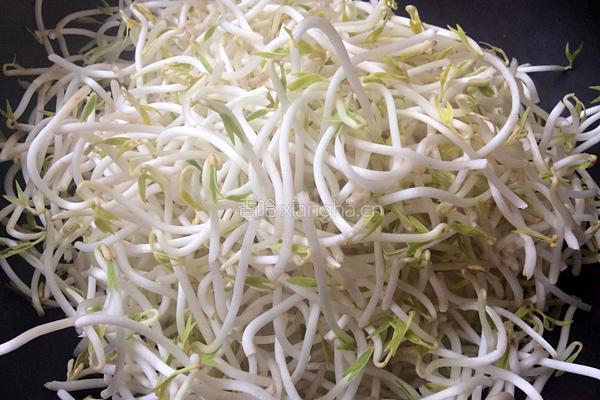 爆炒酸辣绿豆芽的做法图解4