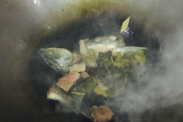 老坛酸菜片片鱼的做法图解10