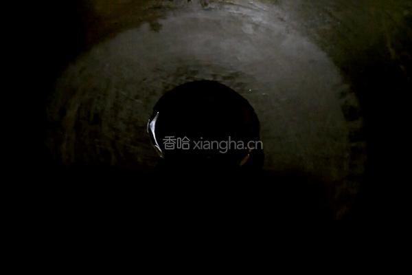 白萝卜水晶卷的做法图解19