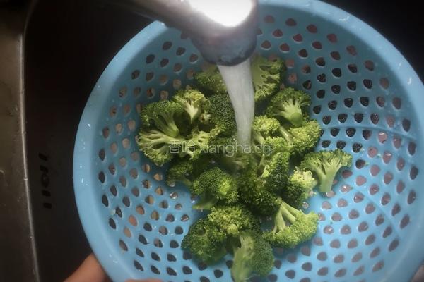 西兰花番茄酿肉的做法图解8