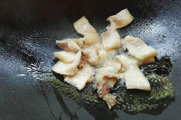 五花肉炒卷心菜的做法图解5