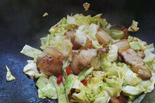 五花肉炒卷心菜的做法图解9