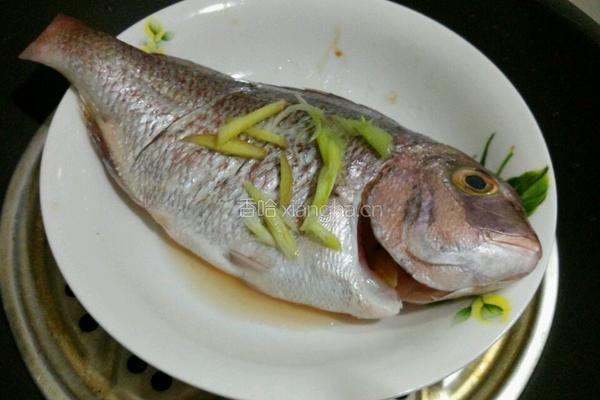 黑木耳西红柿蒸鳟鱼的做法图解4