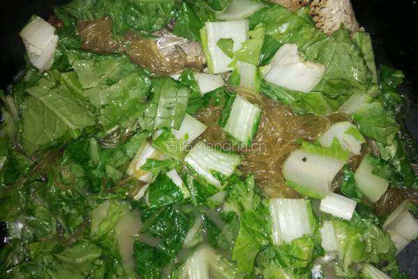 鱼烩粉条青菜的做法图解4