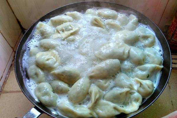 瘦肉韭菜饺子的做法图解5