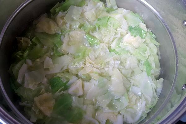 麻椒卷心菜的做法图解3