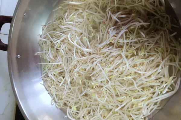 凉拌豆芽菜的做法图解3
