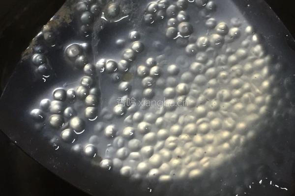 椰汁芒果西米露的做法图解3