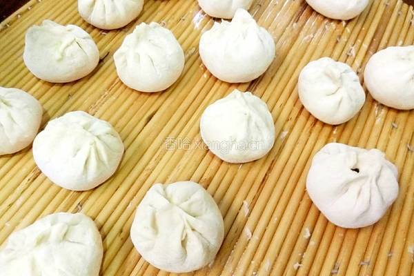  卷心菜大包子的做法图解8