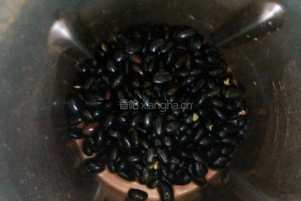 黑豆豆浆的做法图解4