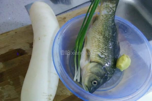鲫鱼萝卜丝汤的做法图解1