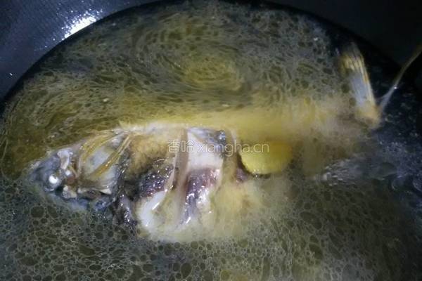 鲫鱼萝卜丝汤的做法图解8