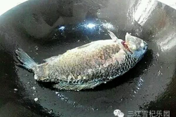 枸杞鲫鱼豆腐汤的做法图解2