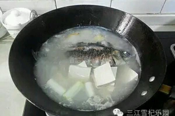 枸杞鲫鱼豆腐汤的做法图解4