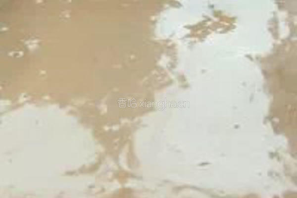 可可奶油蛋糕的做法图解6