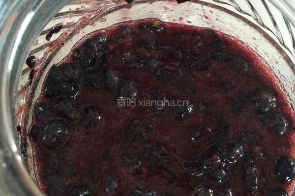 美味蓝莓酒的做法图解5