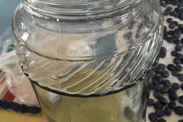 美味蓝莓酒的做法图解3