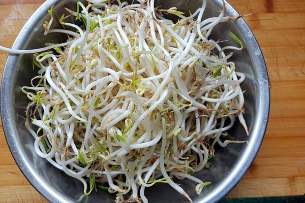 凉拌绿豆芽的做法图解1