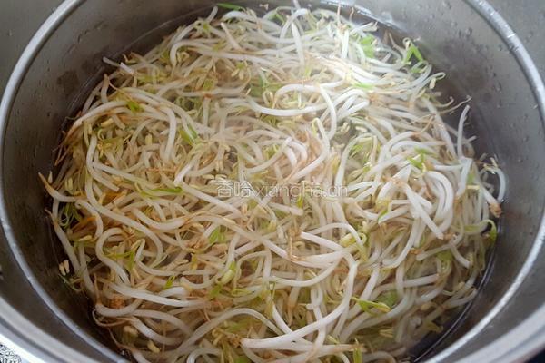凉拌绿豆芽的做法图解2