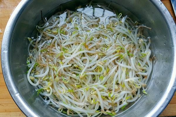 绿豆芽鸡蛋饼的做法图解1