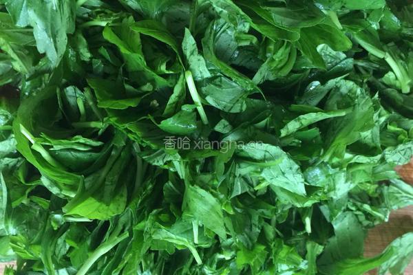 马兰头炒豆腐干的做法图解1