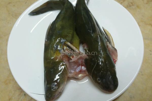 红枣炖鲢鱼的做法图解1
