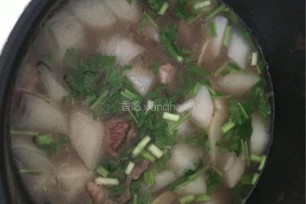 萝卜牛腩清汤的做法图解6