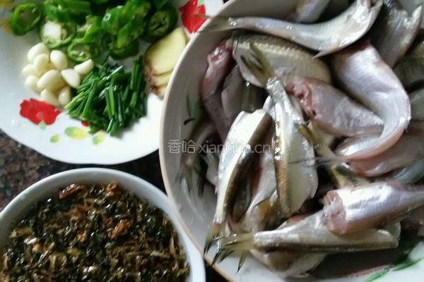小鱼烧咸菜的做法图解1
