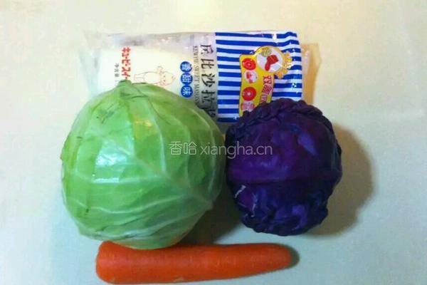 卷心菜沙拉的做法图解1