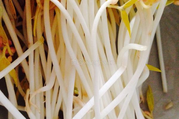 绿豆芽拌三丝的做法图解2