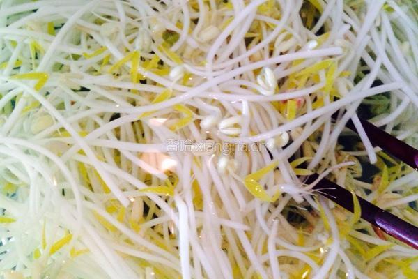 绿豆芽拌三丝的做法图解3