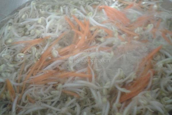 凉拌绿豆芽的做法图解3
