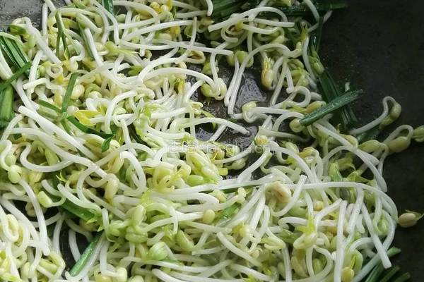 绿豆芽的做法图解2