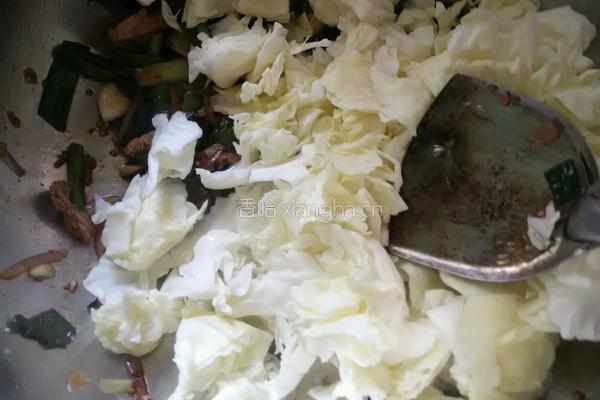 肉片炒花白的做法图解5