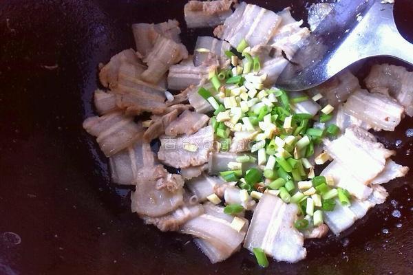 豆豉双椒炒五花肉的做法图解6