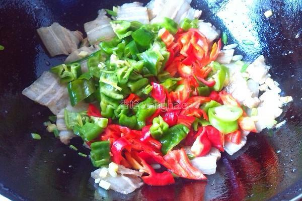 豆豉双椒炒五花肉的做法图解7