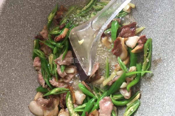 平菇炒肉的做法图解5