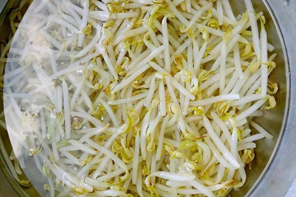 绿豆芽炒粉条的做法图解2